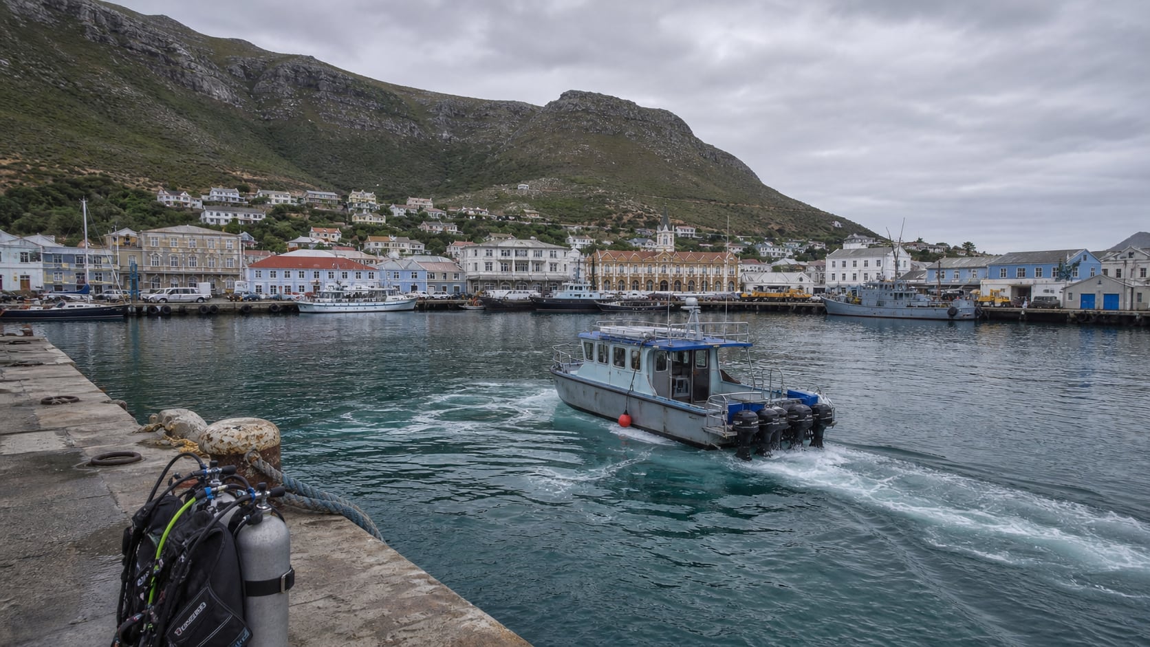 Simon's Town als Tauchbasis: False Bays bester Hub